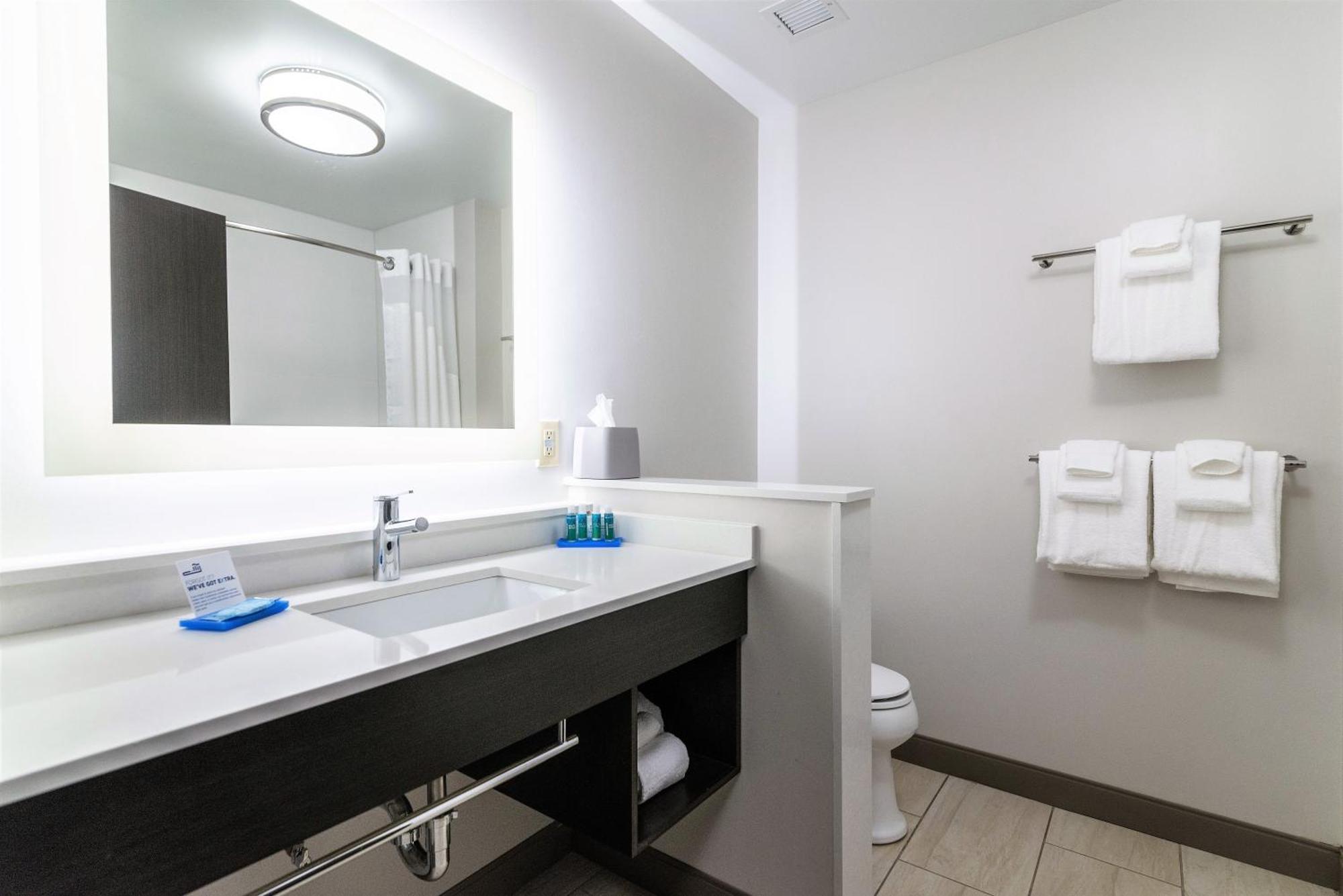 Holiday Inn Express & Suites Allen Park By Ihg Экстерьер фото